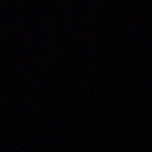 Meet your Posher, Sidney